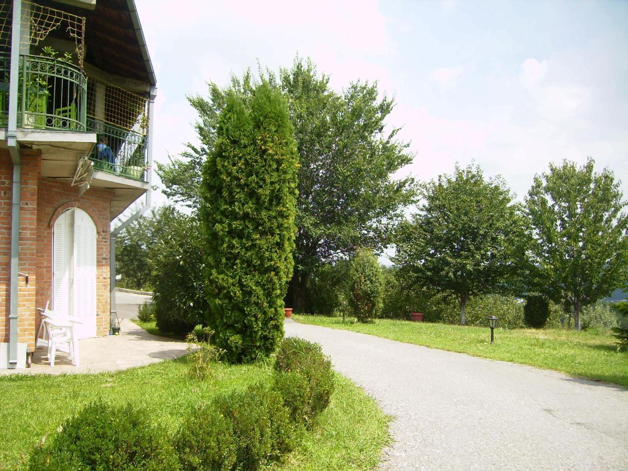 Villa Nevenka Rooms Belgrad Exteriör bild